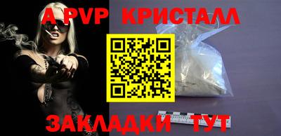 крисы Славгород