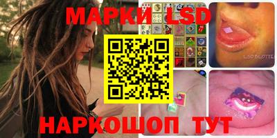 крисы Славгород
