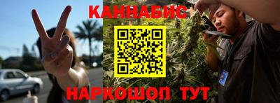 крисы Славгород