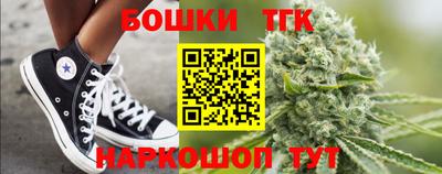 крисы Славгород
