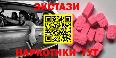 крисы Славгород