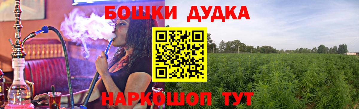 МАРИХУАНА план Пенза